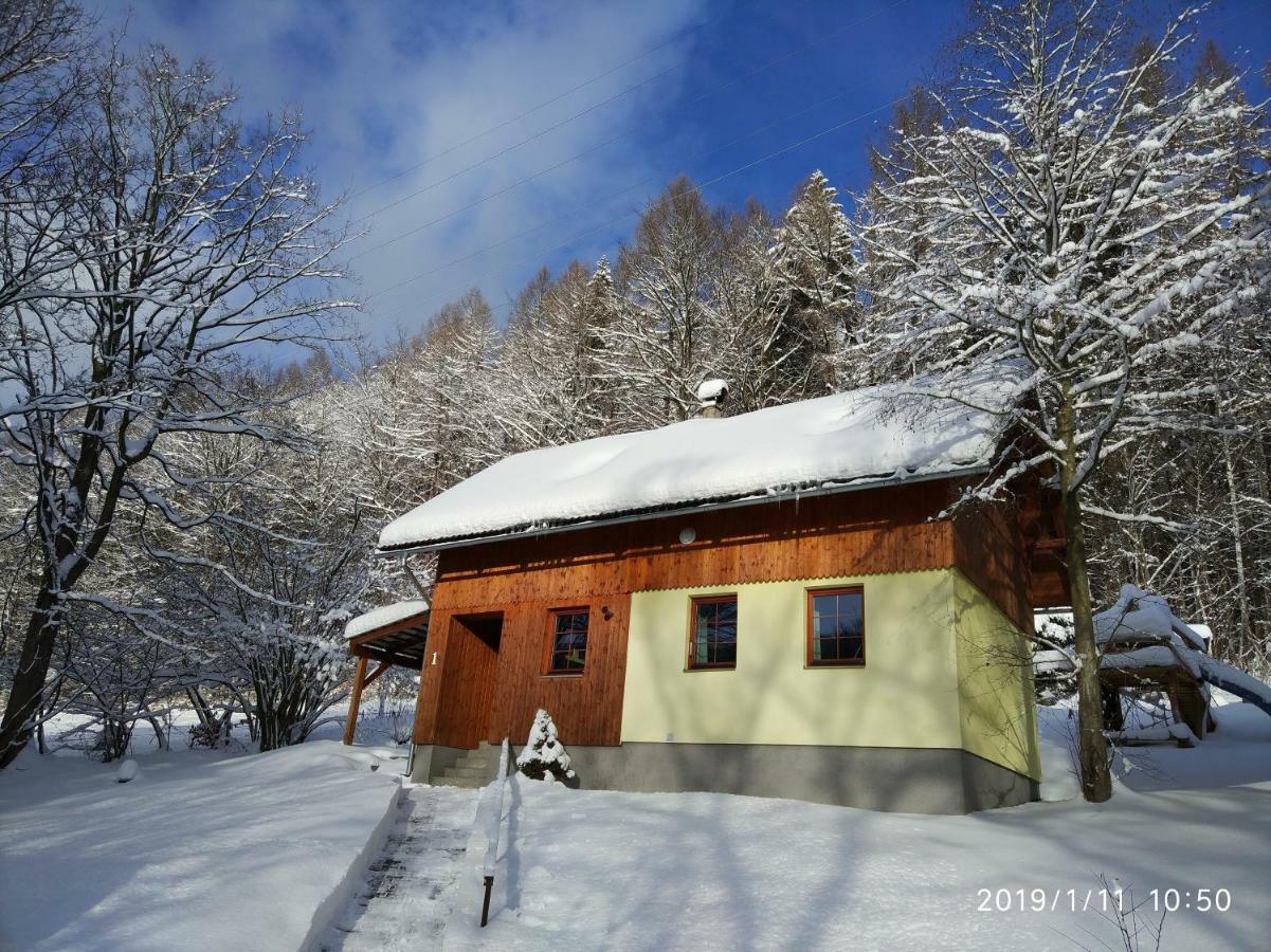 Chata Koutik Loučná nad Desnou Exterior foto